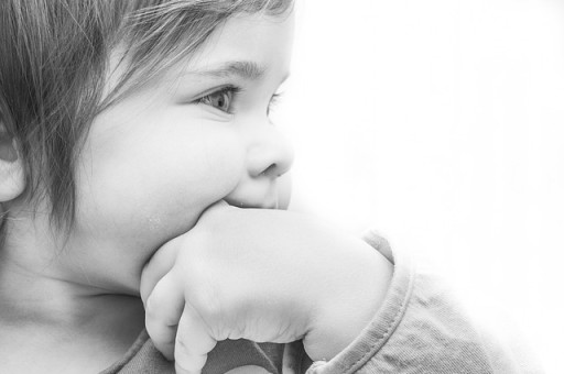 金钱树的养殖方法和浇水