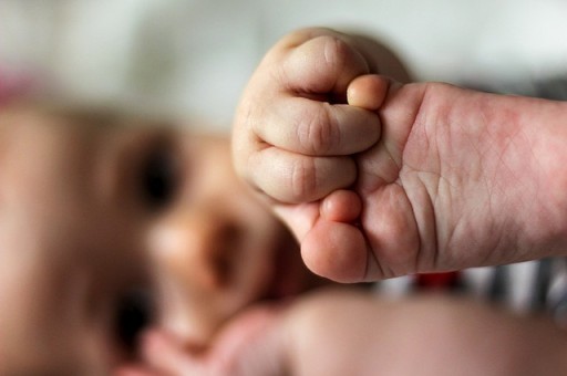 君子兰浇水的正确方法