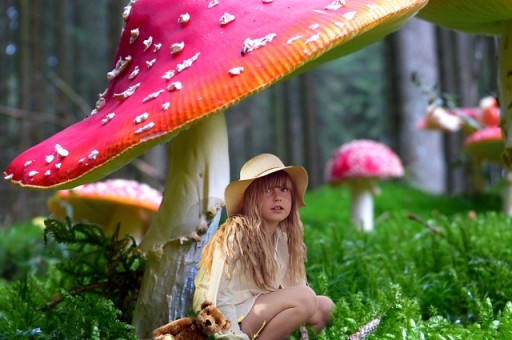 木偶奇遇记读后感